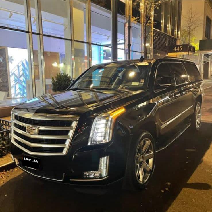 Why Private Transportation Is the Best Choice for Busy Professionals in New York